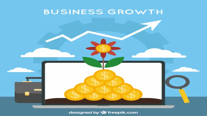 How Finance Supports Business Growth